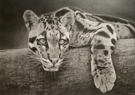 Nature Nurtured (2)-